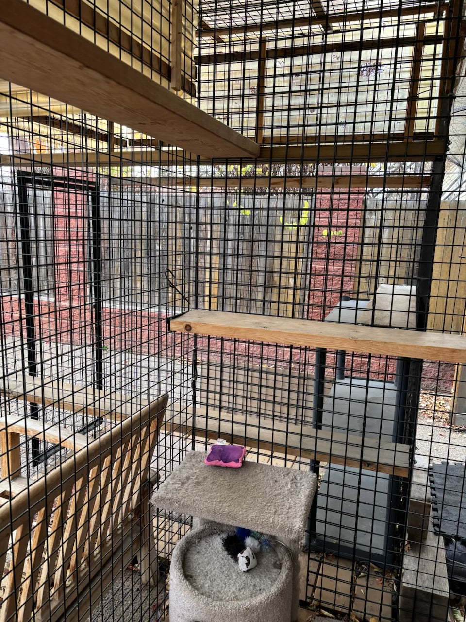 R1000 Custom built outdoor “catio”