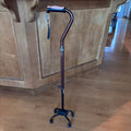 X255 Walking cane