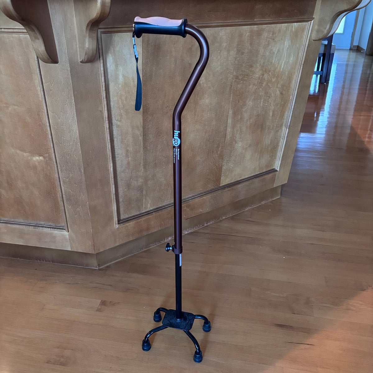 X255 Walking cane