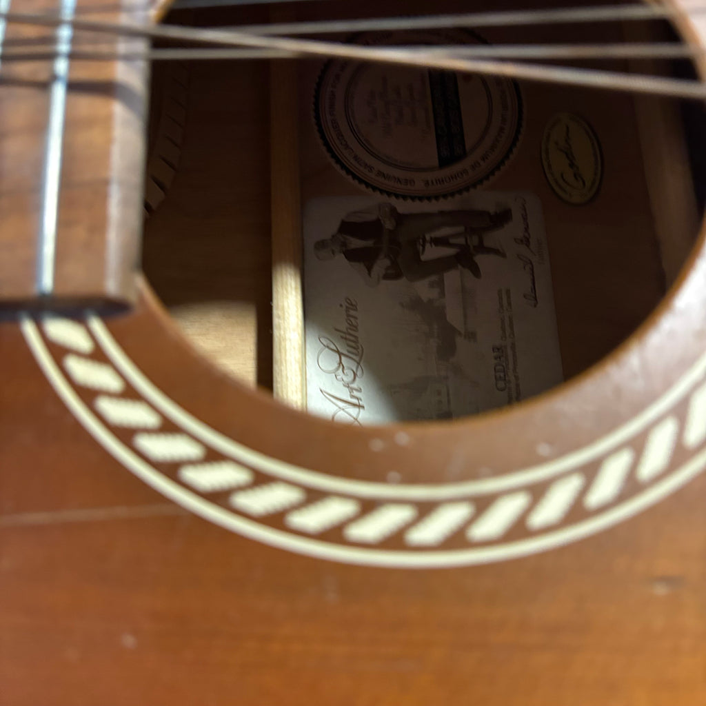 E132 As is guitar with case