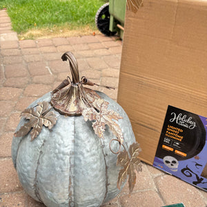 Halloween and Fall Decor - O160