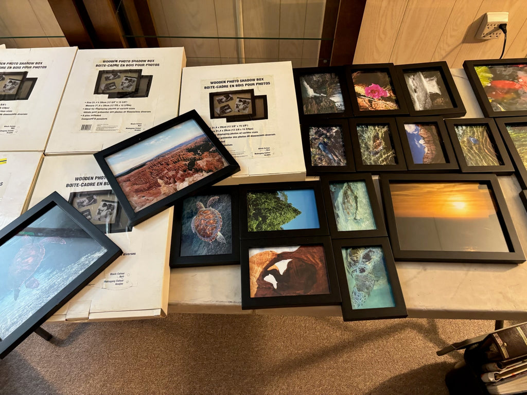 K513B Picture frames and photo albums grouping