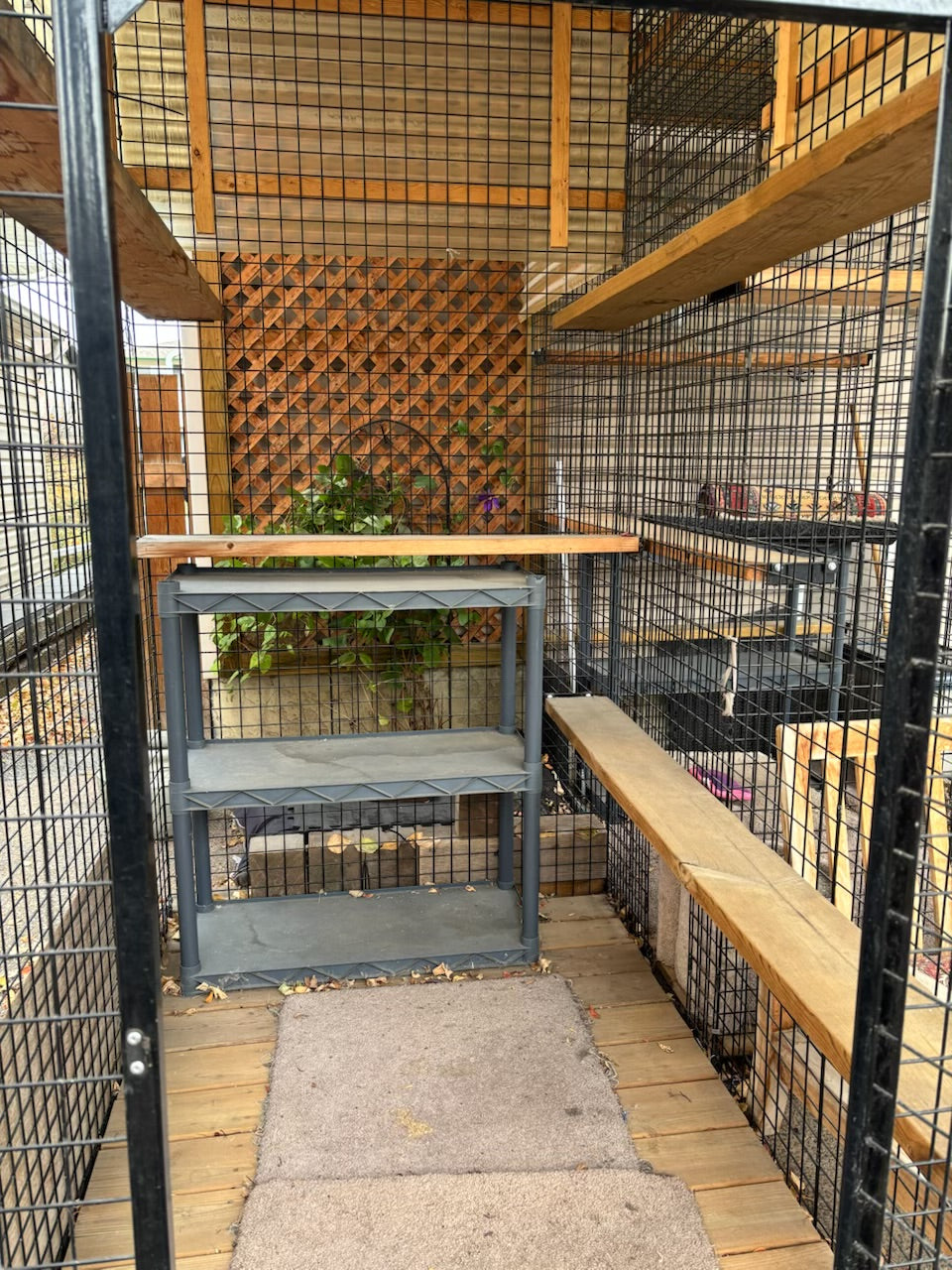 R1000 Custom built outdoor “catio”