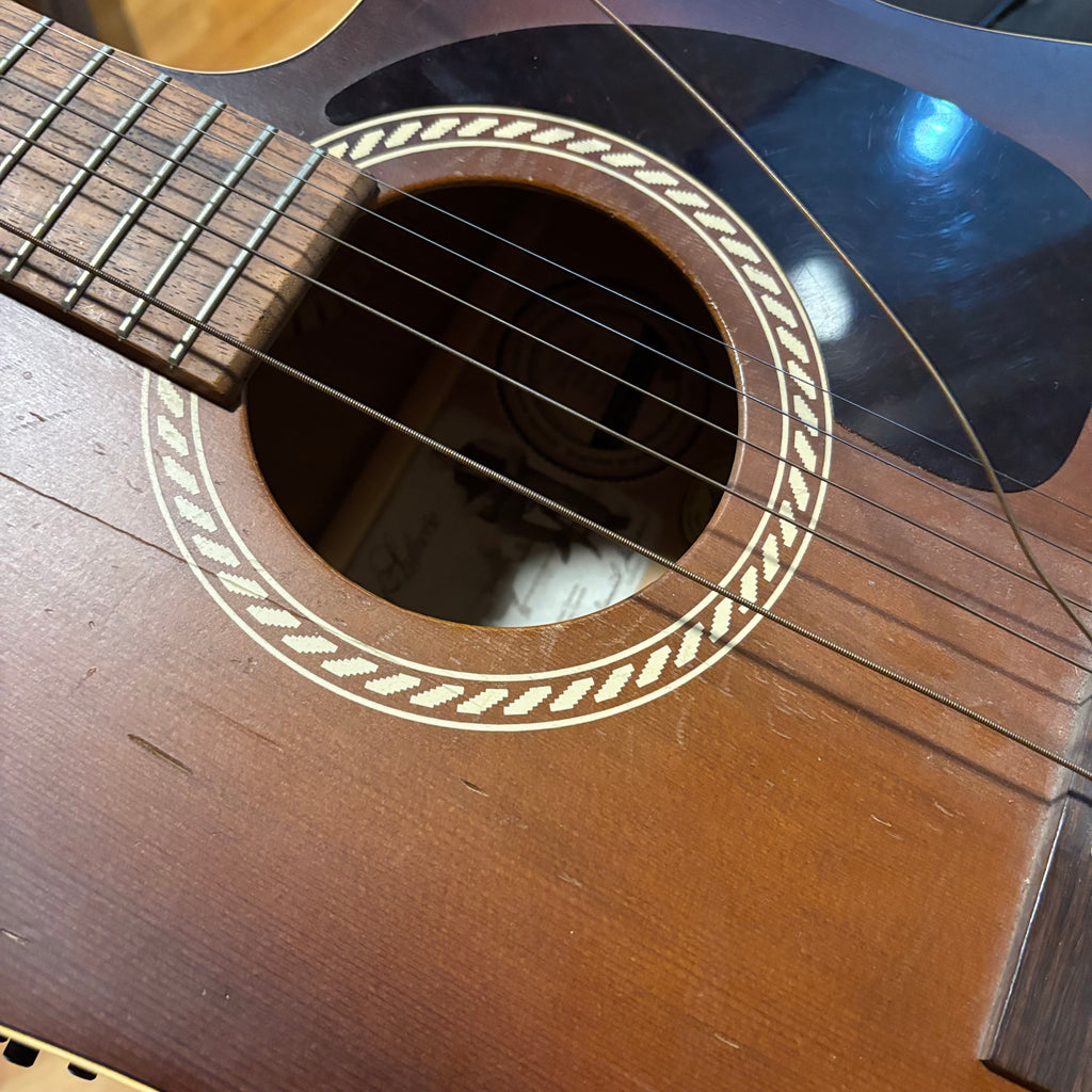 E132 As is guitar with case
