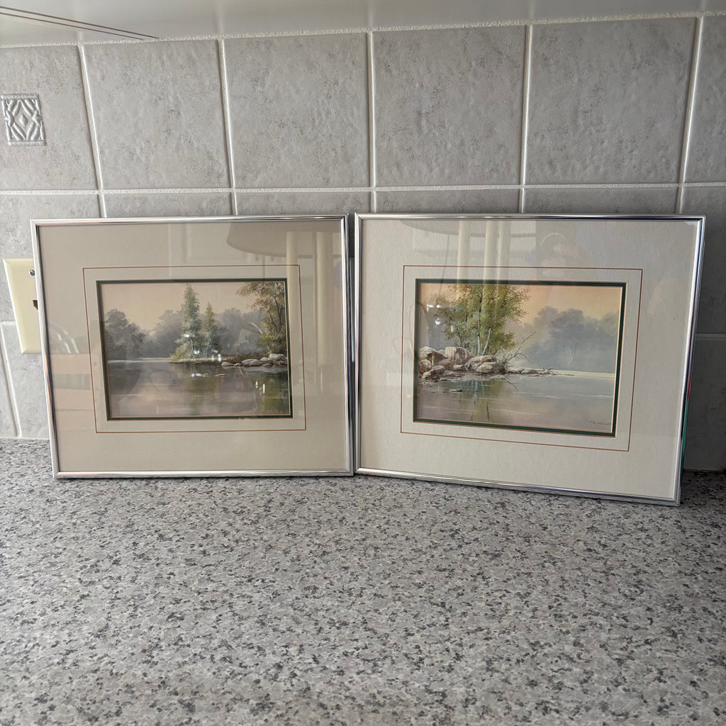 E896 Set of 2 13” x 11” Framed watercolours