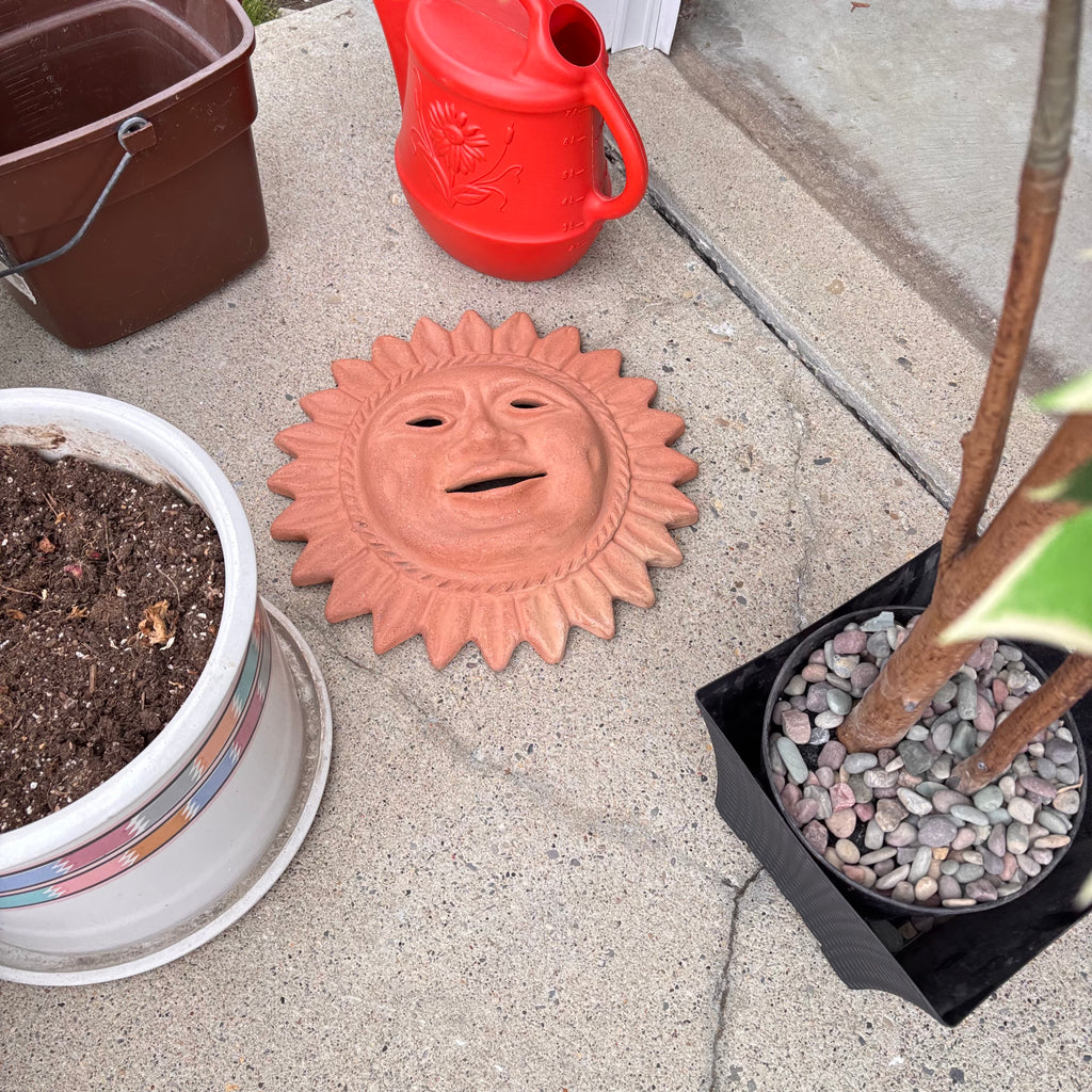 K354 Random yard Grouping (plastic garbage can and more)