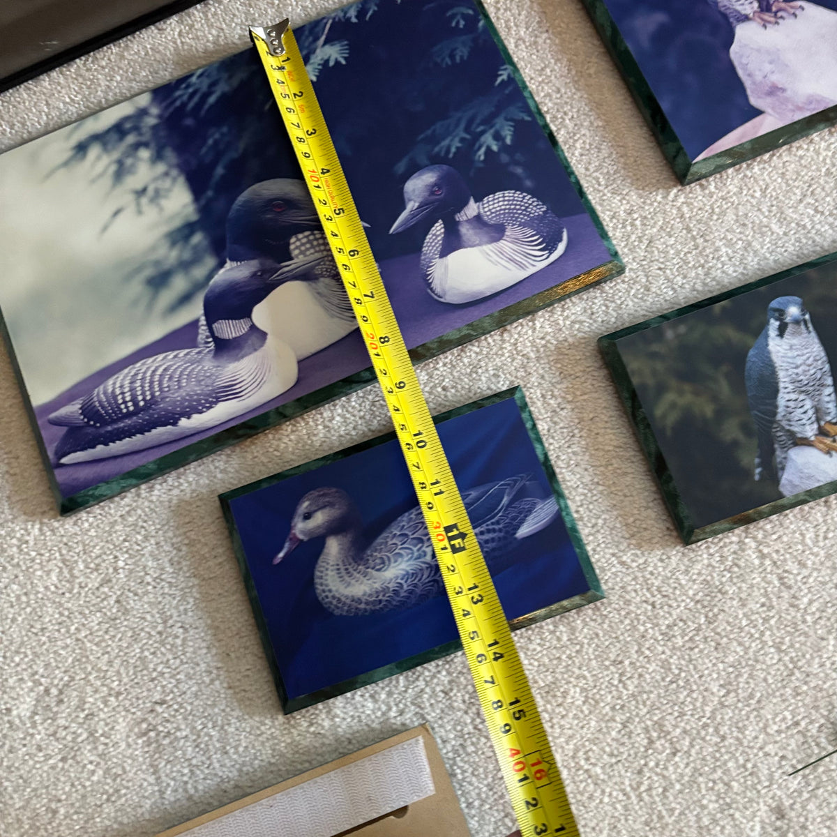 Y163 Vintage bird artwork grouping