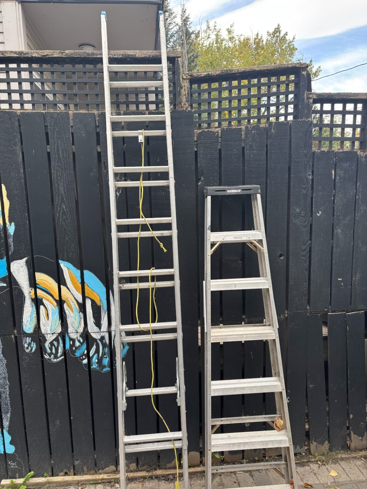 E324 2 ladders