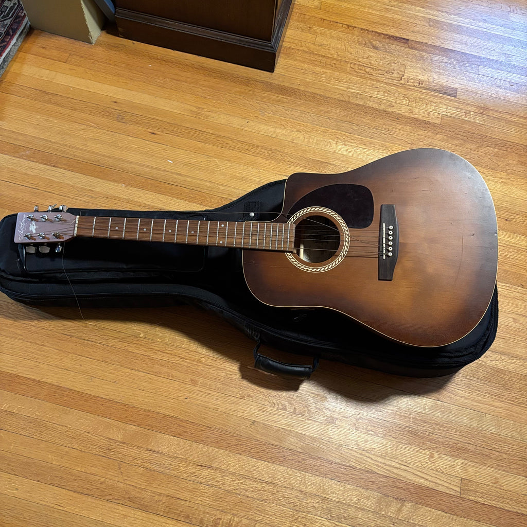 E132 As is guitar with case