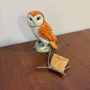 Wooden and Ceramic Owls Grouping - C476