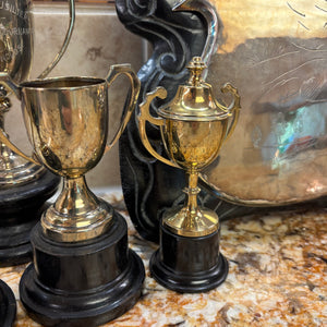 Vintage Grouping (Military Trophies and More) - M340