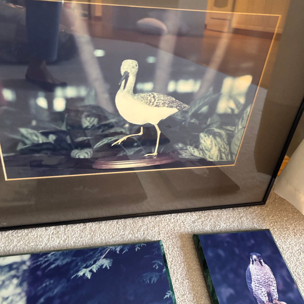 Y163 Vintage bird artwork grouping