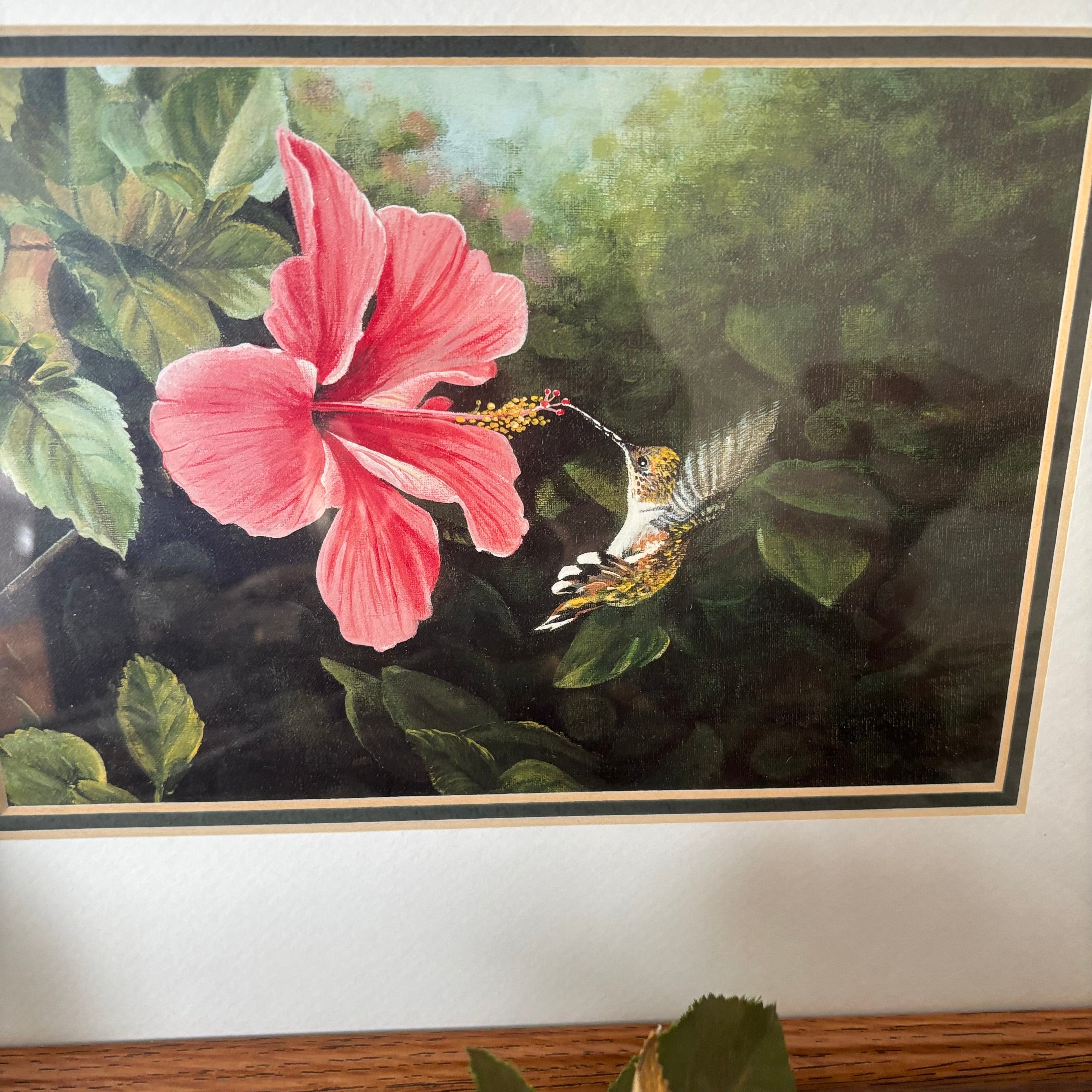 E894 Framed hummingbird artwork grouping
