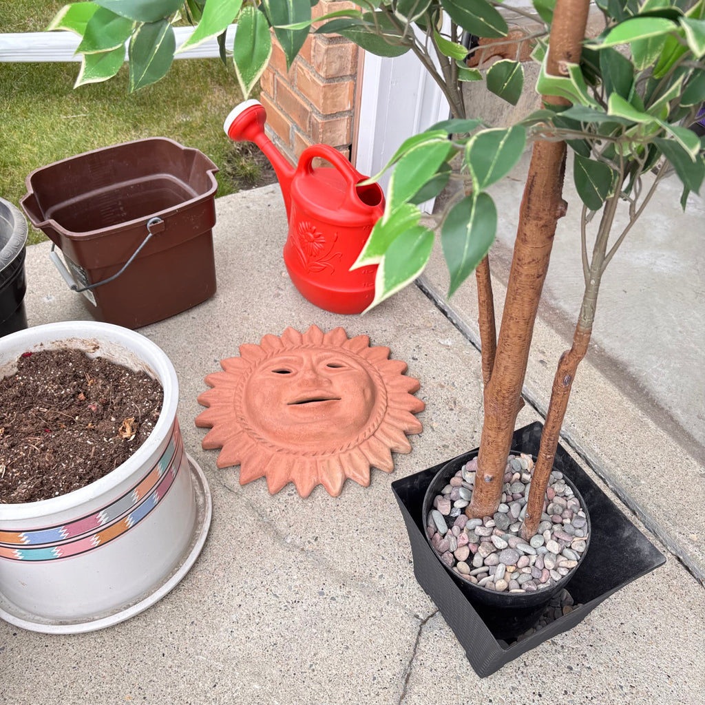 K354 Random yard Grouping (plastic garbage can and more)