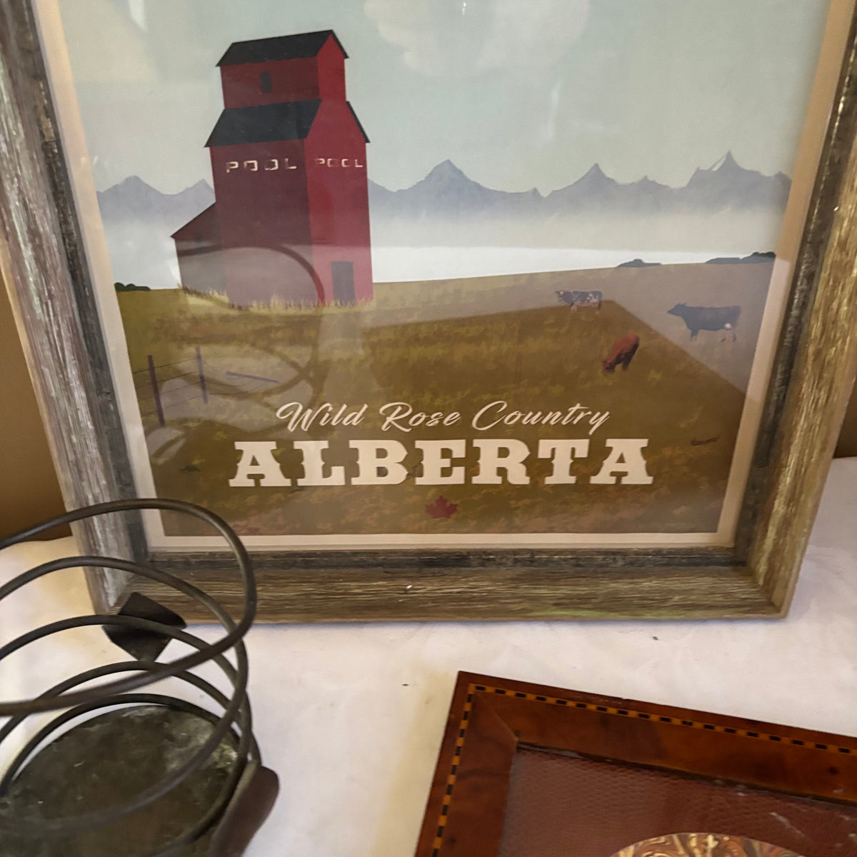 E156 Decor grouping (armadillo wine bottle holder and more)