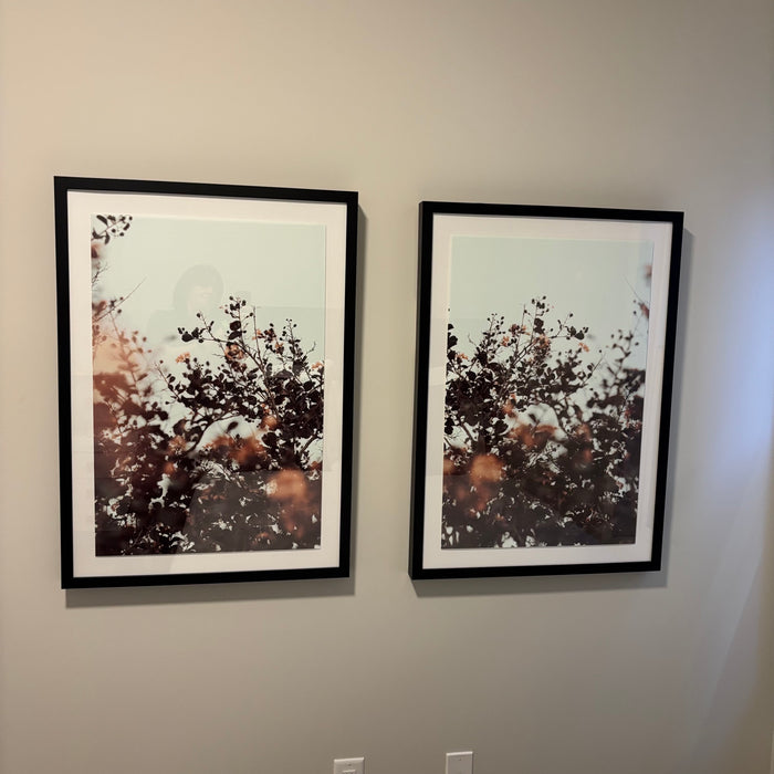 Set of 2 24” x 30” Framed Through the Branches Art Prints - G424