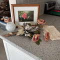 E894 Framed hummingbird artwork grouping