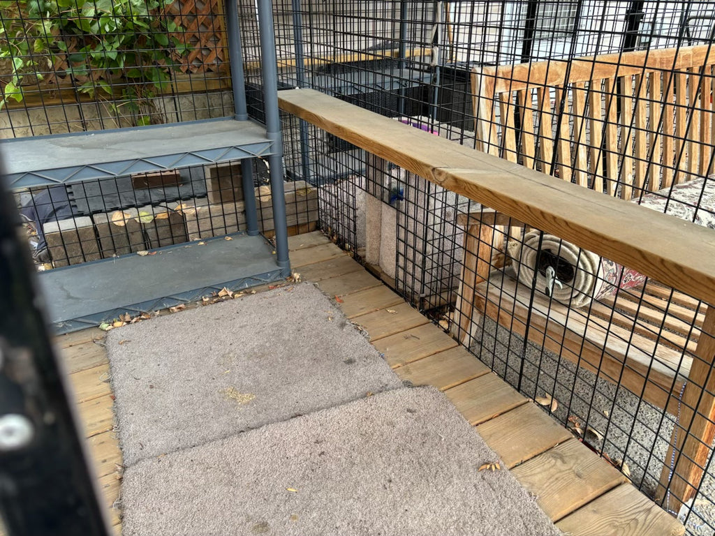 R1000 Custom built outdoor “catio”