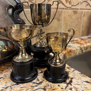 Vintage Grouping (Military Trophies and More) - M340