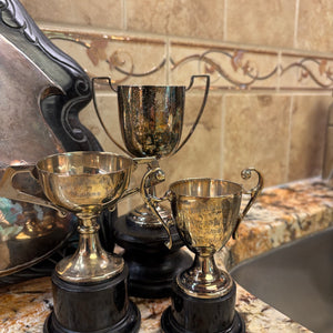 Vintage Grouping (Military Trophies and More) - M340