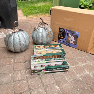 Halloween and Fall Decor - O160