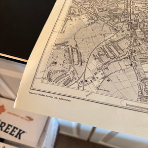 VINTAGE BOOKS AND MAPS GROUPING - P238