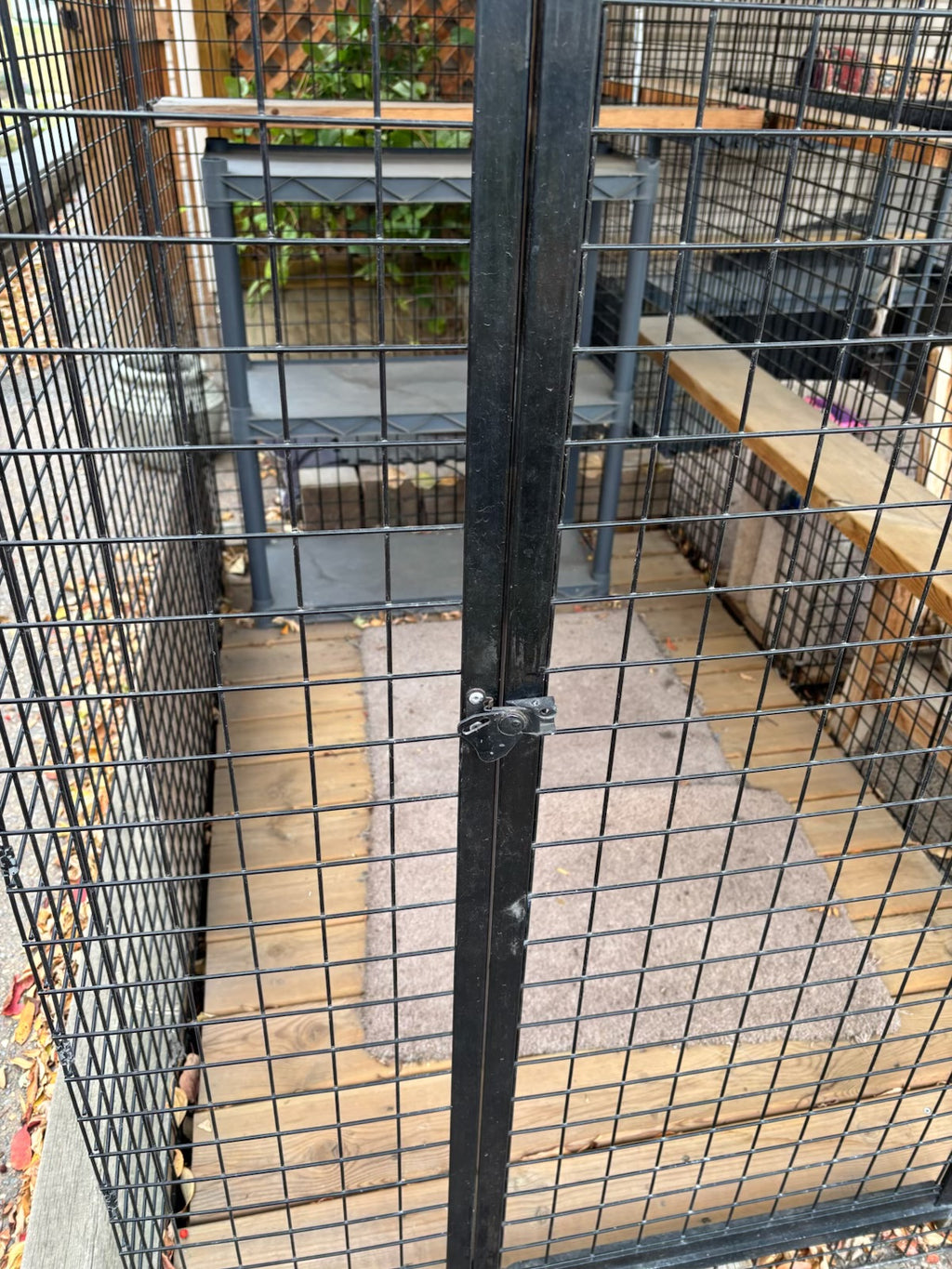 R1000 Custom built outdoor “catio”
