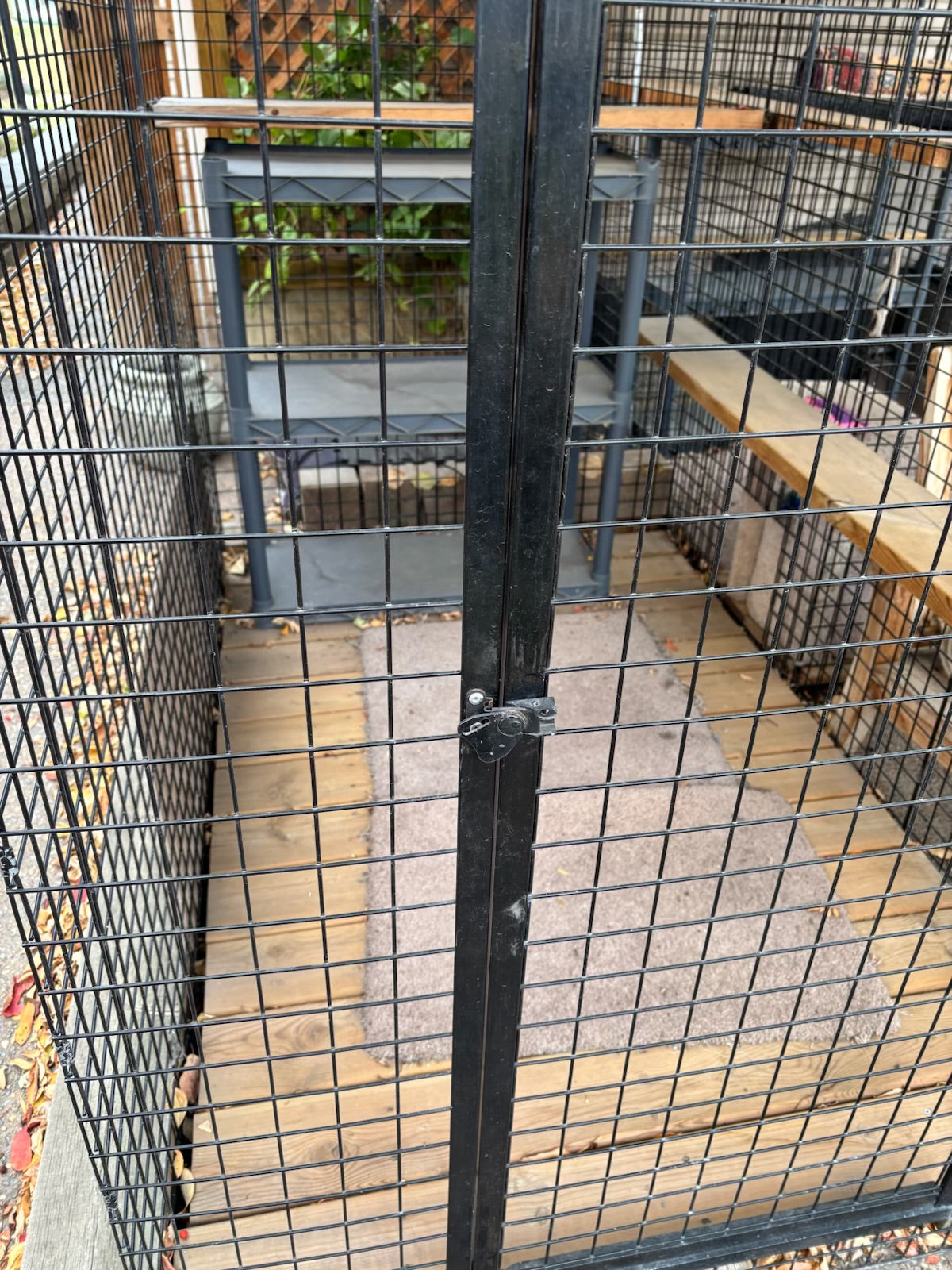 R1000 Custom built outdoor “catio”