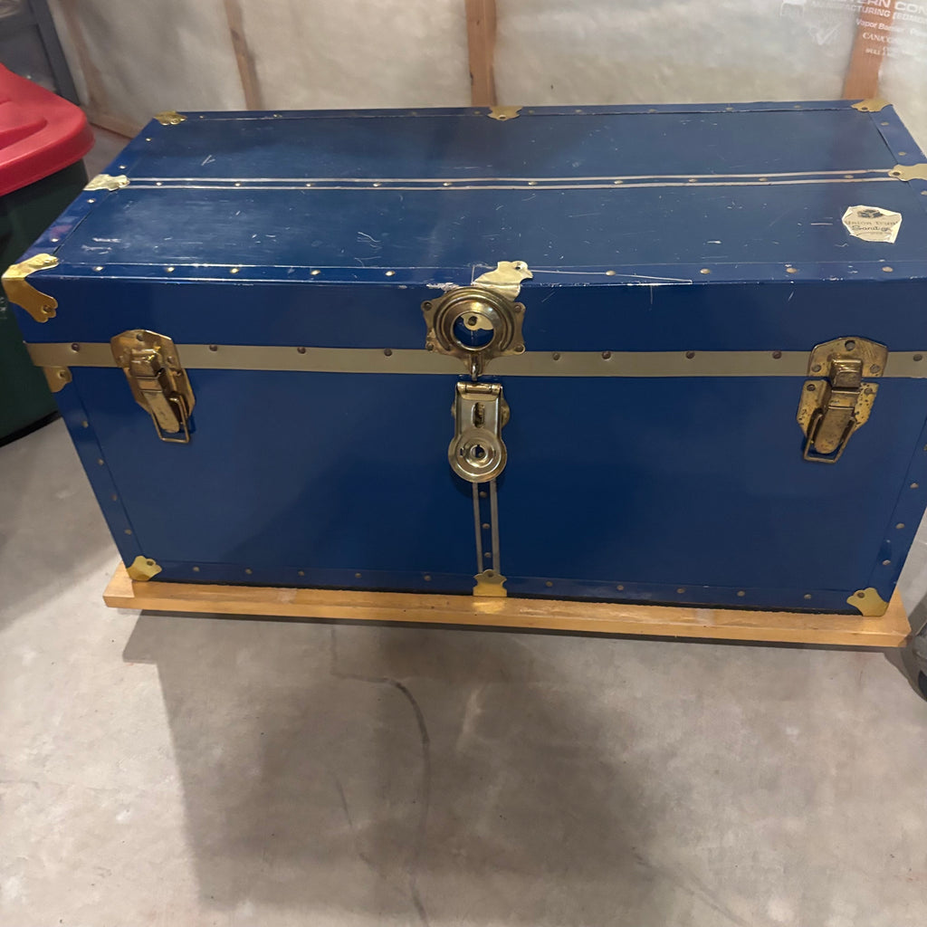 E869 Heavy duty metal clothing rack and vintage chest (shelf behind is not included)