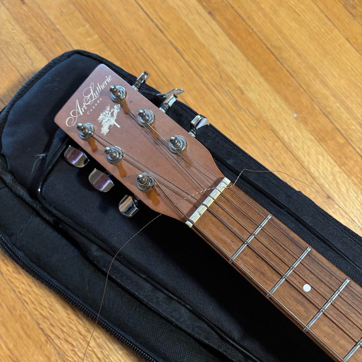 E132 As is guitar with case