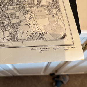 VINTAGE BOOKS AND MAPS GROUPING - P238