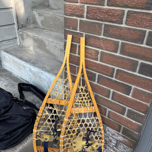 Snowshoes, Golf Bag, 2 Bats and Ski Poles - M377